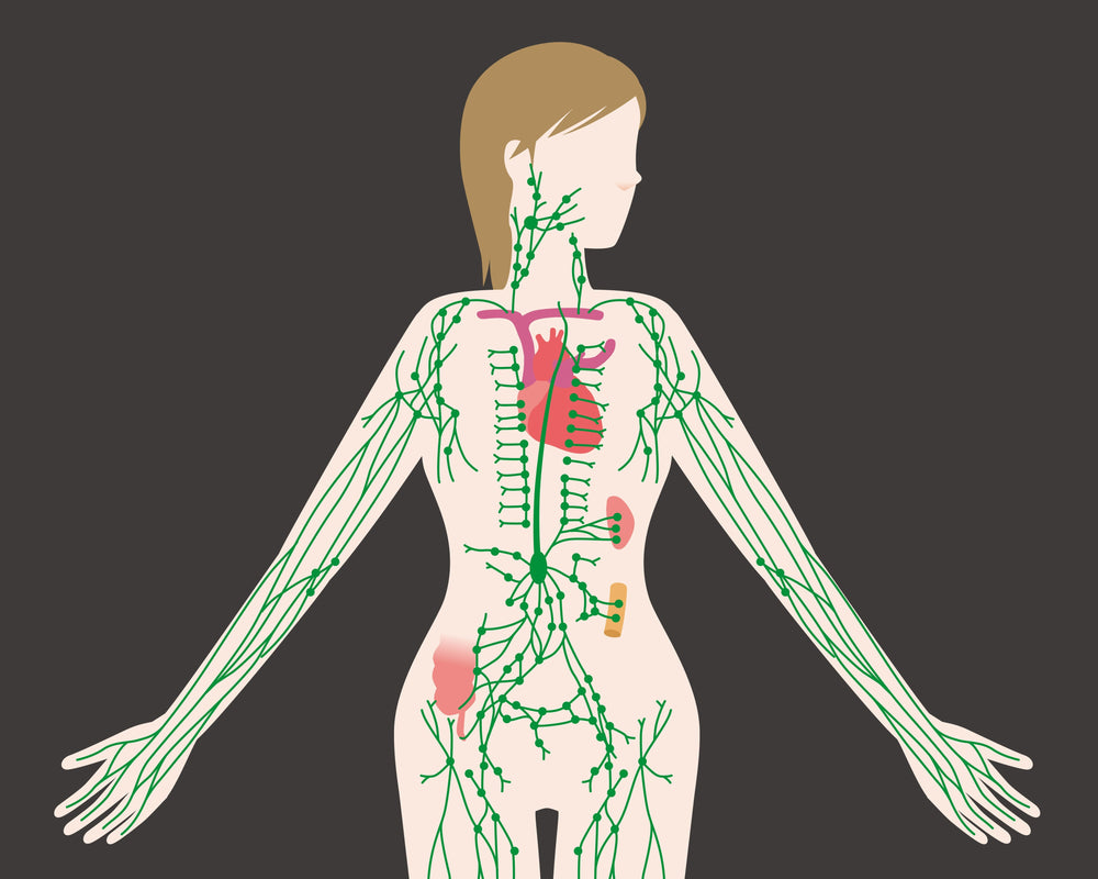 What Is Lymphatic Drainage, and How Does Clique Compression Help?